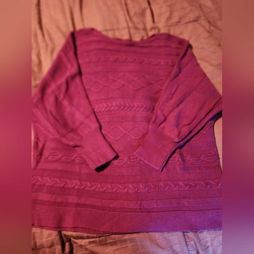 Liz Claiborne Magenta Sweater 2X